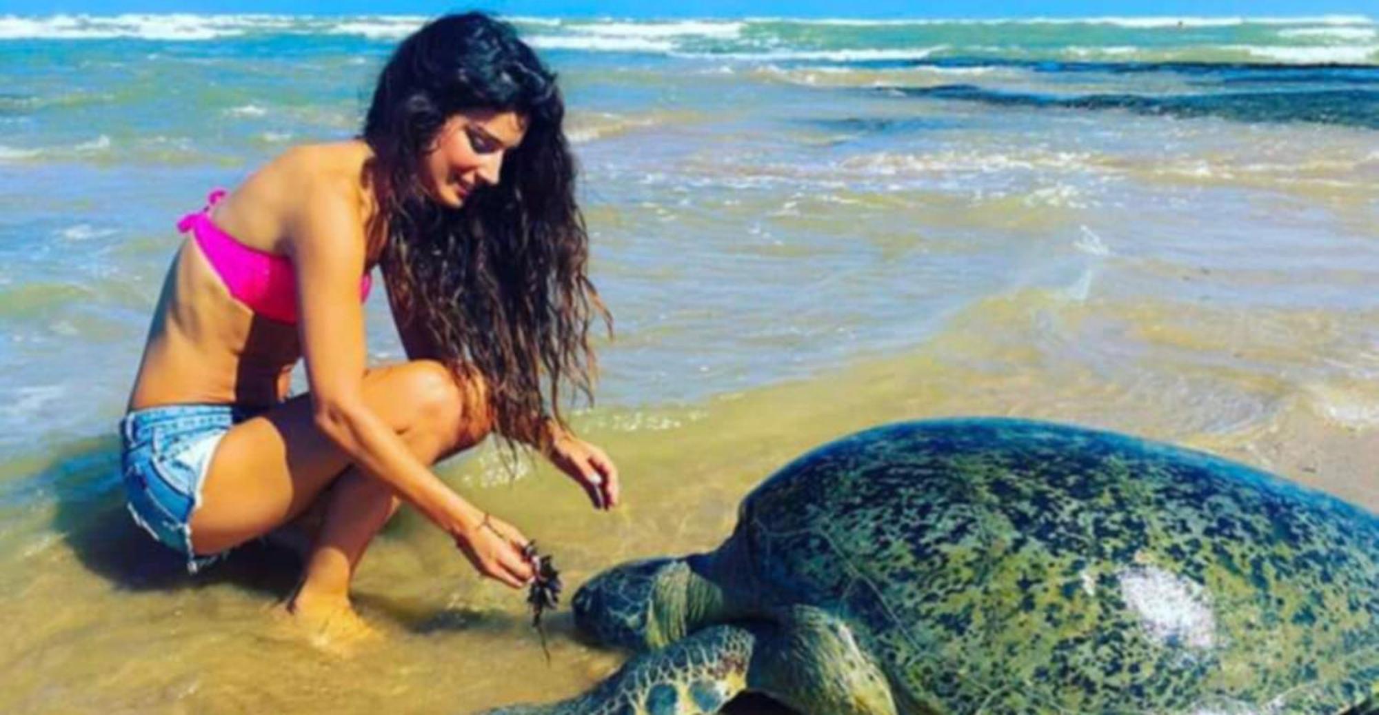 Blue Whales Hotel هيكادوفا المظهر الخارجي الصورة